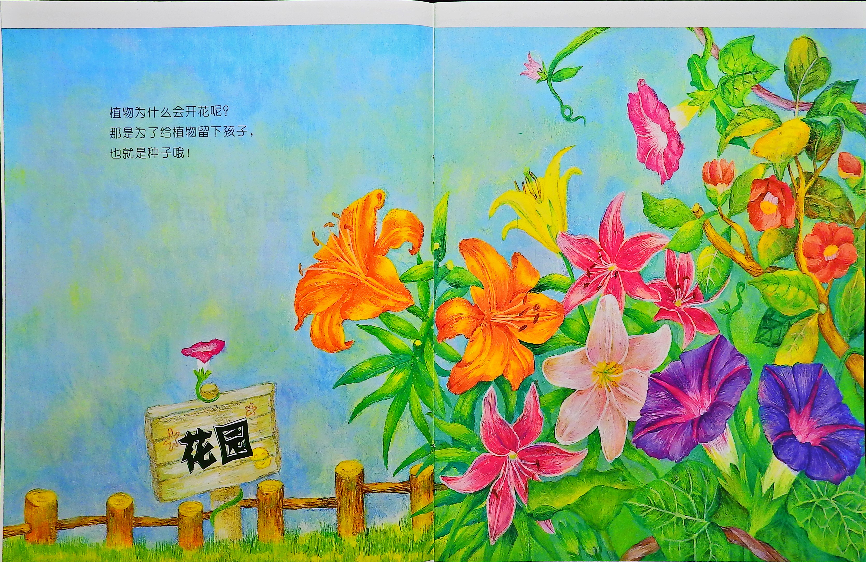 植物王国的结婚仪式 (03),绘本,绘本故事,绘本阅读,故事书,童书,图画书,课外阅读